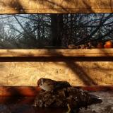 photo 2022-01-24 09-49-14