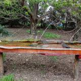 photo 2021-04-19 17-19-58