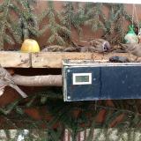 photo 2021-02-01 11-03-45