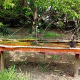 photo 2021-04-29 12-03-56