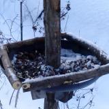 photo 2019-01-09 08-02-45