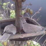 photo 2019-12-06 07-52-49