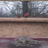 photo 2022-01-16 07-01-18