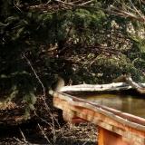 photo 2022-03-02 09-48-21 vorosbegy