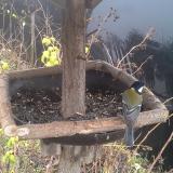 photo 2019-12-22 14-02-50