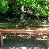 photo 2021-05-10 12-05-34