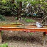 photo 2021-04-19 12-53-33