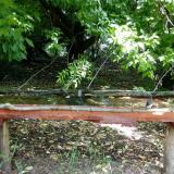 photo 2021-05-31 10-30-53