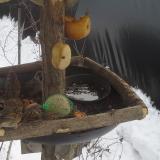 photo 2019-01-27 12-49-06