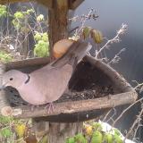 photo 2019-12-04 14-40-33