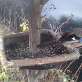 photo 2019-12-25 09-01-45