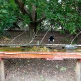 photo 2021-08-23 15-07-29