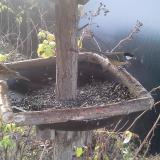 photo 2019-12-20 07-53-21