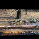 photo 2021-11-11 12-58-48