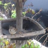 photo 2019-12-02 08-00-41