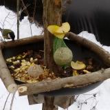 photo 2019-01-12 13-38-37