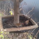 photo 2019-12-25 10-39-24