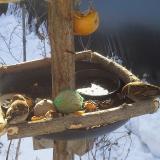 photo 2019-01-27 09-41-50