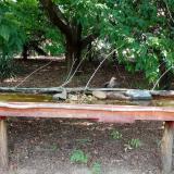 photo 2021-07-26 16-44-19