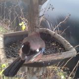 photo 2019-12-25 09-24-55