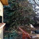 photo 2021-11-17 08-04-59