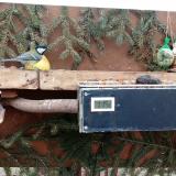 photo 2021-02-03 14-57-23