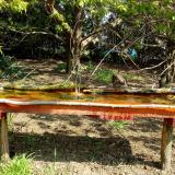 photo 2021-04-22 10-03-58