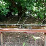 photo 2021-07-04 11-16-06