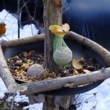 photo 2019-01-14 11-00-31