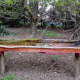 photo 2021-04-14 18-51-14