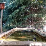 photo 2023-10-12 10-11-07