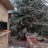 photo 2021-12-27 14-08-58