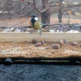 photo 2021-11-10 09-58-32