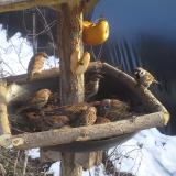 photo 2019-01-31 14-48-18