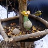 photo 2019-01-15 12-00-30