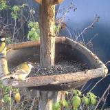 photo 2019-12-14 15-06-11