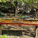 photo 2021-04-20 09-00-20