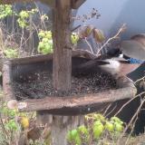 photo 2019-12-12 11-24-31