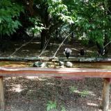 photo 2021-07-13 09-46-32