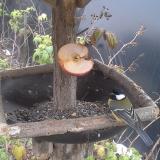 photo 2019-12-05 14-27-18