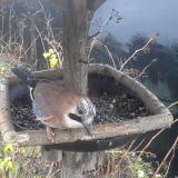 photo 2019-12-25 08-11-45