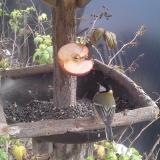 photo 2019-12-05 13-45-30