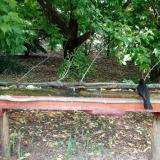 photo 2021-05-31 12-19-14