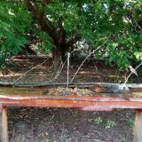 photo 2021-09-08 16-54-58