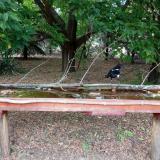 photo 2021-07-01 17-16-05