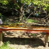 photo 2021-04-26 10-59-55