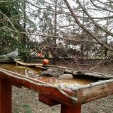 photo 2022-03-17 09-23-36