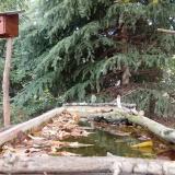 photo 2023-10-08 11-53-57