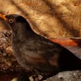 photo 2022-01-24 09-36-23 rigo