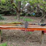 photo 2021-04-17 16-49-29